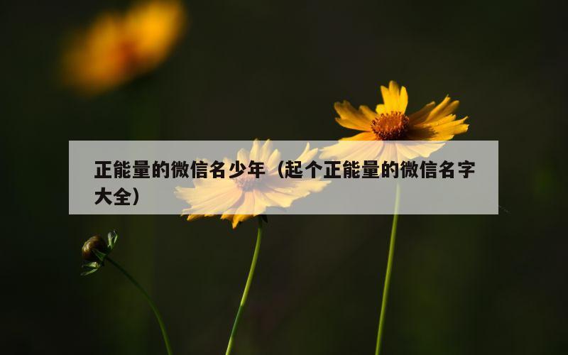 正能量的微信名少年（起个正能量的微信名字大全）