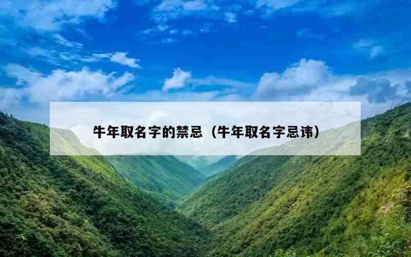 牛年取名字的禁忌（牛年取名字忌讳）