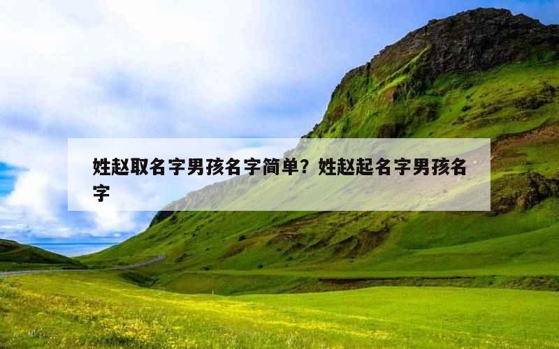 姓赵取名字男孩名字简单？姓赵起名字男孩名字