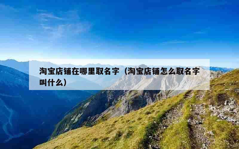 淘宝店铺在哪里取名字（淘宝店铺怎么取名字叫什么）