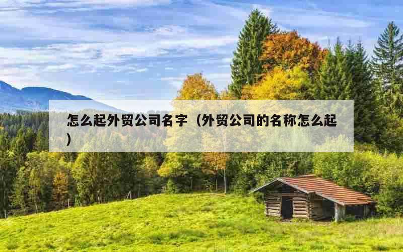 怎么起外贸公司名字（外贸公司的名称怎么起）