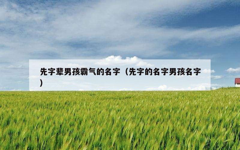 先字辈男孩霸气的名字（先字的名字男孩名字）