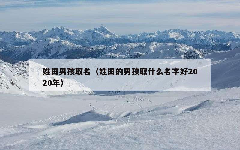 姓田男孩取名（姓田的男孩取什么名字好2020年）