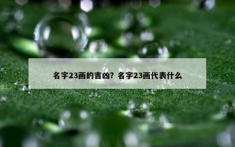 名字23画的吉凶？名字23画代表什么