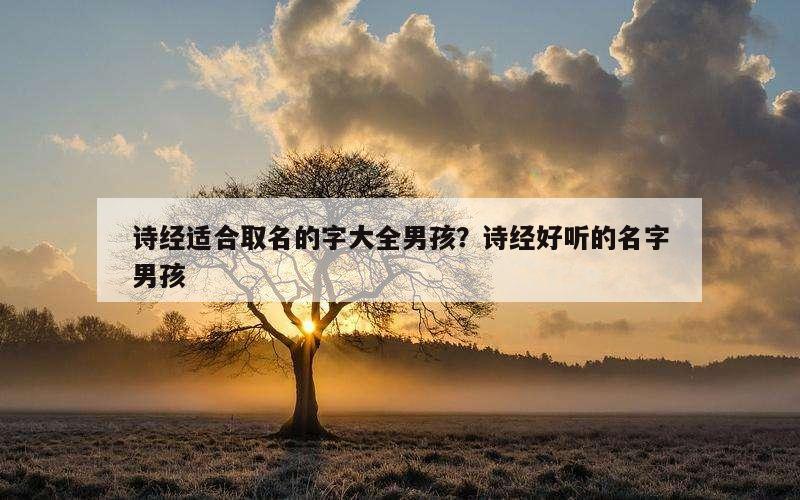 诗经适合取名的字大全男孩？诗经好听的名字男孩