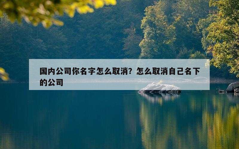 国内公司你名字怎么取消？怎么取消自己名下的公司