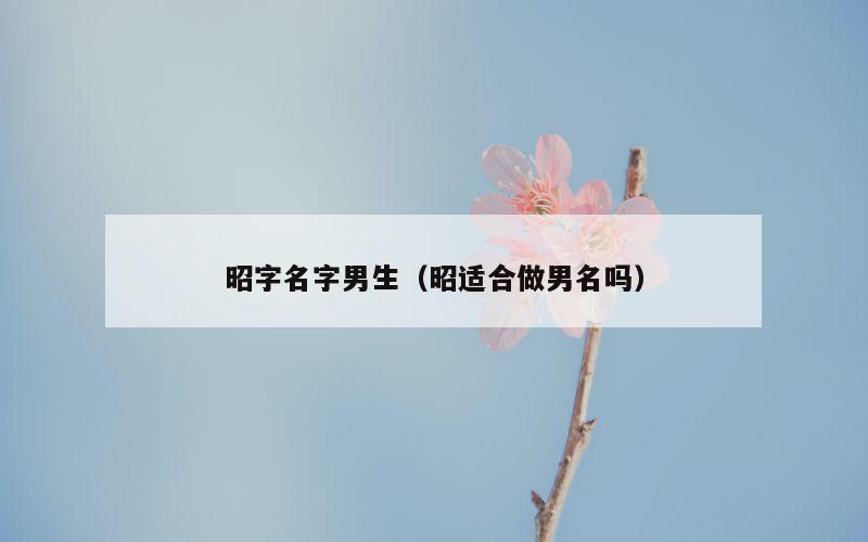 昭字名字男生（昭适合做男名吗）