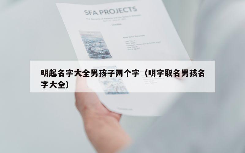 明起名字大全男孩子两个字（明字取名男孩名字大全）