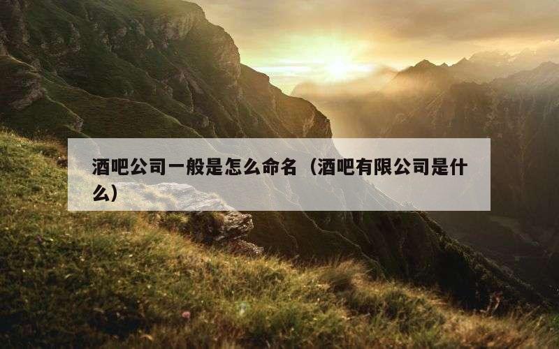 酒吧公司一般是怎么命名（酒吧有限公司是什么）