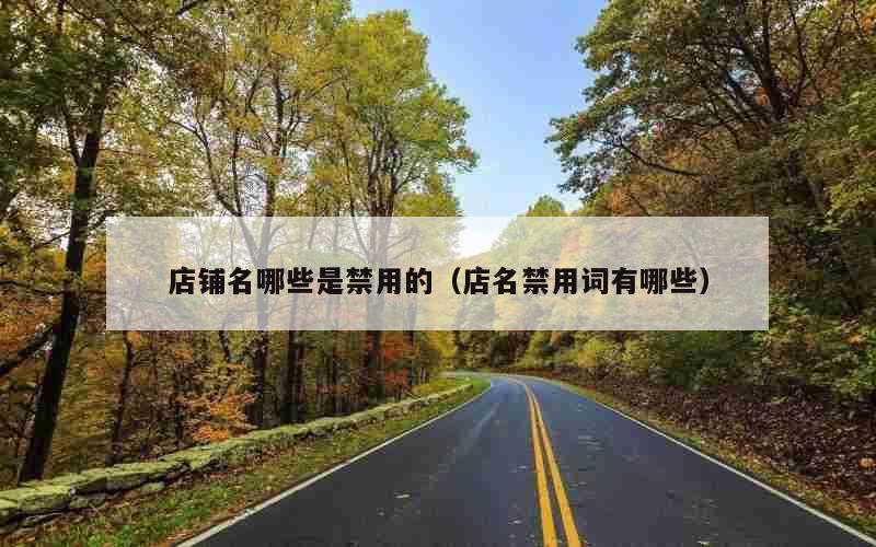 店铺名哪些是禁用的（店名禁用词有哪些）