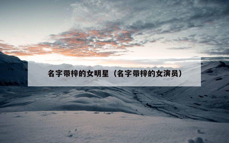 名字带梓的女明星（名字带梓的女演员）
