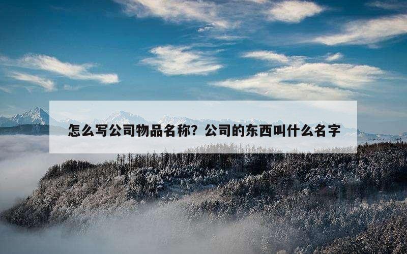 怎么写公司物品名称？公司的东西叫什么名字