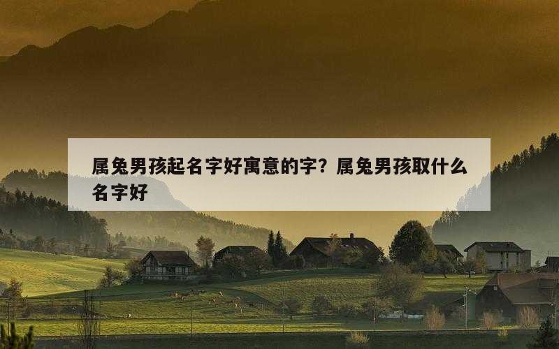 属兔男孩起名字好寓意的字？属兔男孩取什么名字好