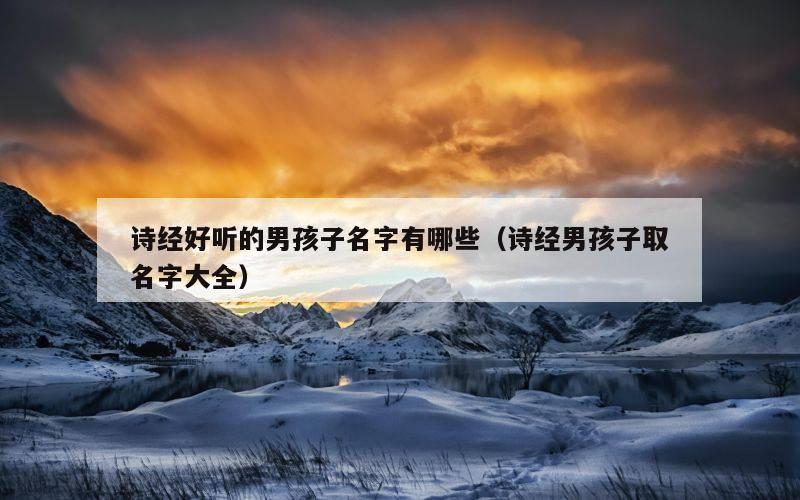 诗经好听的男孩子名字有哪些（诗经男孩子取名字大全）