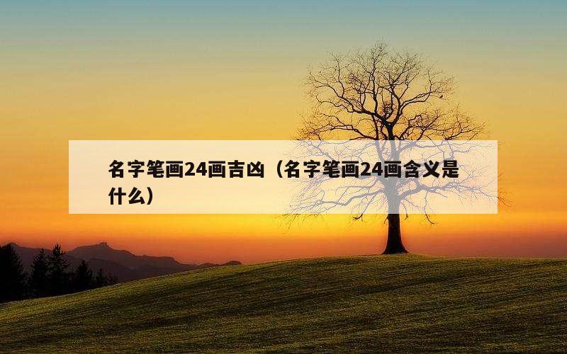名字笔画24画吉凶（名字笔画24画含义是什么）