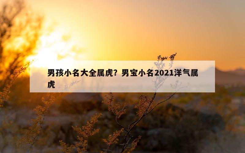 男孩小名大全属虎？男宝小名2021洋气属虎