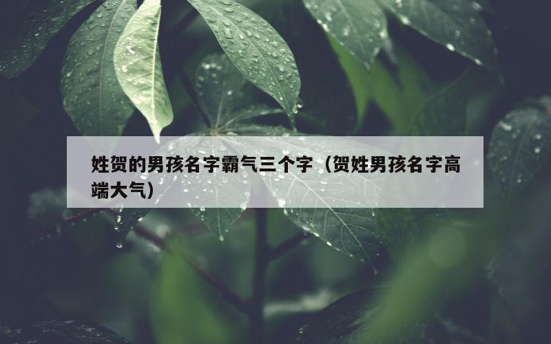 姓贺的男孩名字霸气三个字（贺姓男孩名字高端大气）