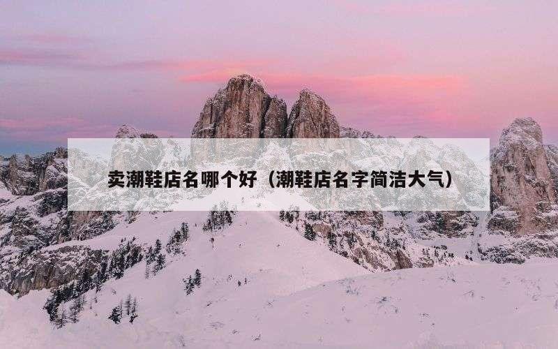 卖潮鞋店名哪个好（潮鞋店名字简洁大气）