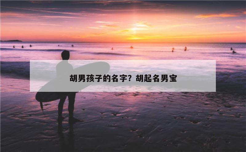 胡男孩子的名字？胡起名男宝
