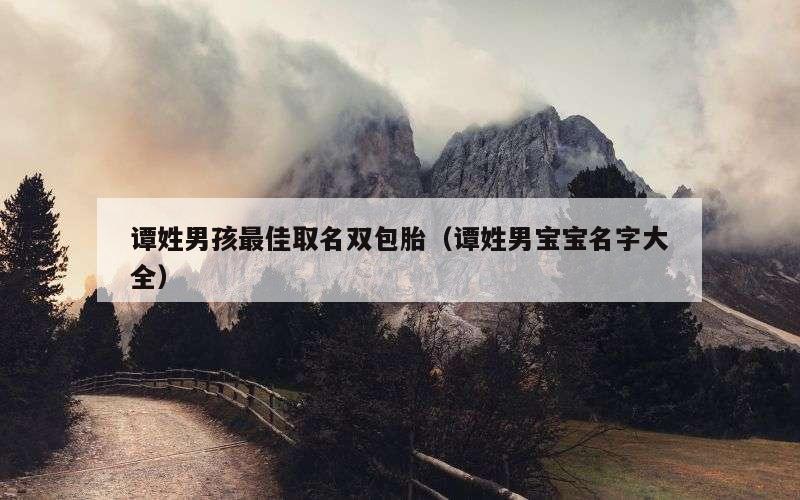 谭姓男孩最佳取名双包胎（谭姓男宝宝名字大全）