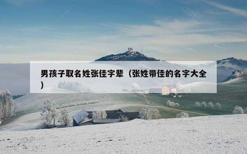 男孩子取名姓张佳字辈（张姓带佳的名字大全）