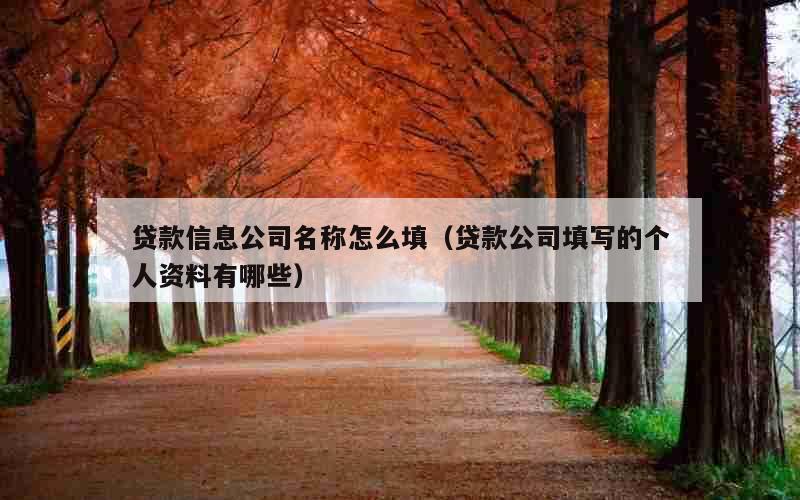 贷款信息公司名称怎么填（贷款公司填写的个人资料有哪些）