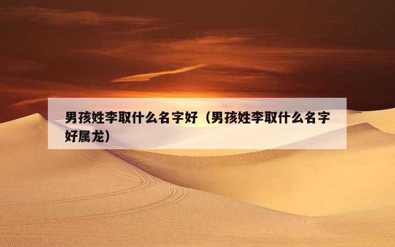 男孩姓李取什么名字好（男孩姓李取什么名字好属龙）