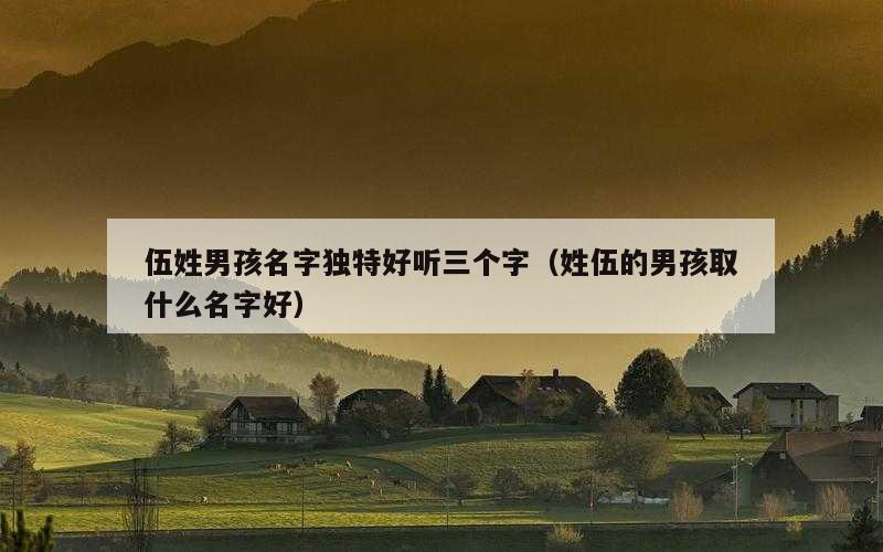 伍姓男孩名字独特好听三个字（姓伍的男孩取什么名字好）