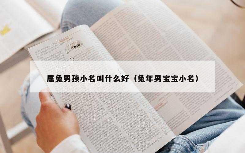 属兔男孩小名叫什么好（兔年男宝宝小名）