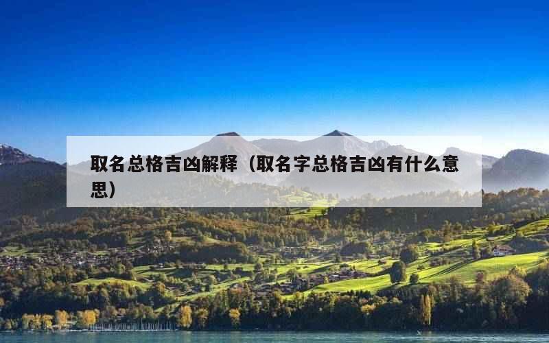 取名总格吉凶解释（取名字总格吉凶有什么意思）