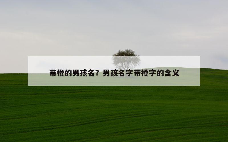 带橙的男孩名？男孩名字带橙字的含义