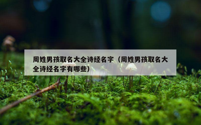 周姓男孩取名大全诗经名字（周姓男孩取名大全诗经名字有哪些）