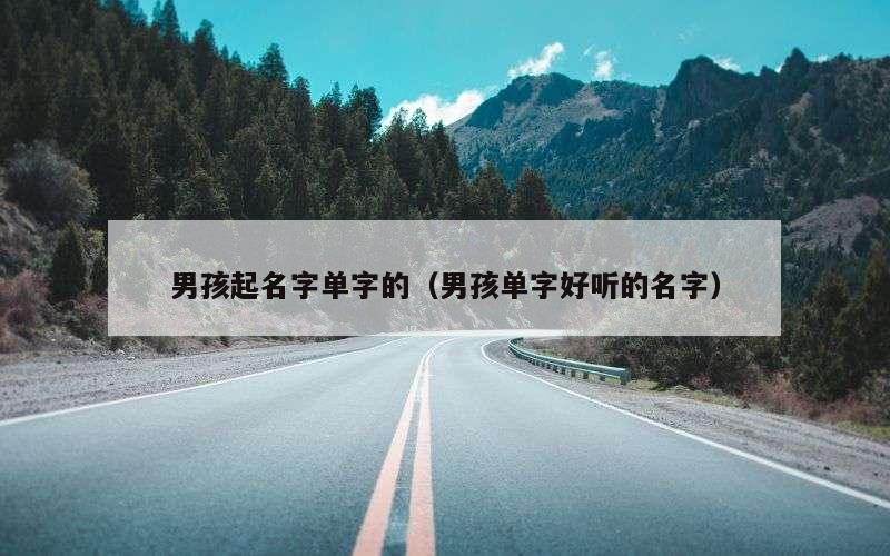 男孩起名字单字的（男孩单字好听的名字）