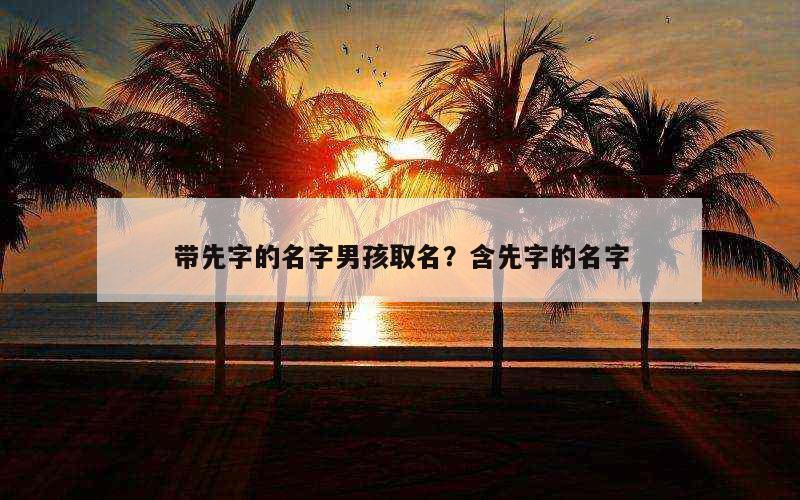 带先字的名字男孩取名？含先字的名字