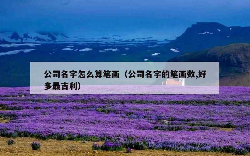 公司名字怎么算笔画（公司名字的笔画数,好多最吉利）