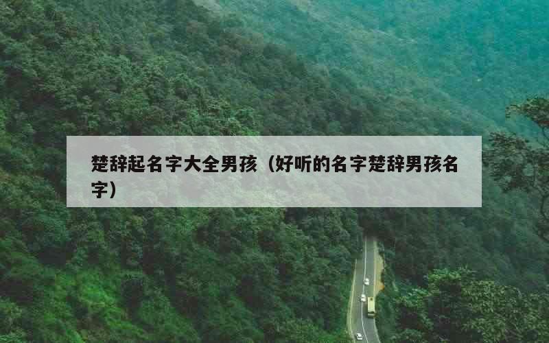 楚辞起名字大全男孩（好听的名字楚辞男孩名字）