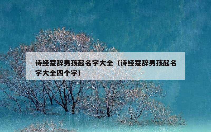 诗经楚辞男孩起名字大全（诗经楚辞男孩起名字大全四个字）