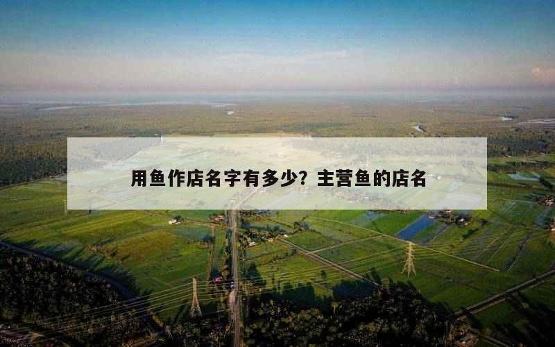 用鱼作店名字有多少？主营鱼的店名