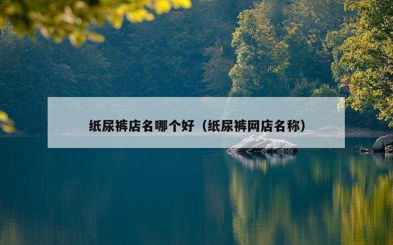 纸尿裤店名哪个好（纸尿裤网店名称）