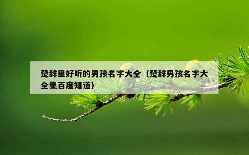 楚辞里好听的男孩名字大全（楚辞男孩名字大全集百度知道）