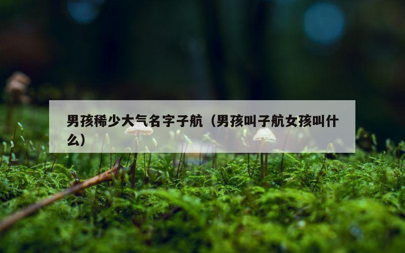 男孩稀少大气名字子航（男孩叫子航女孩叫什么）