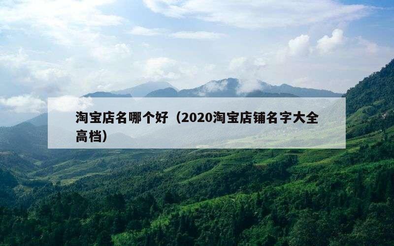 淘宝店名哪个好（2020淘宝店铺名字大全高档）