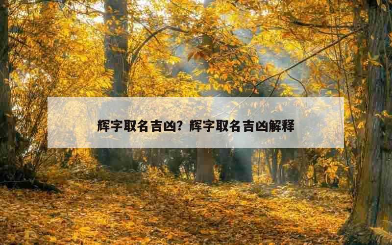 辉字取名吉凶？辉字取名吉凶解释