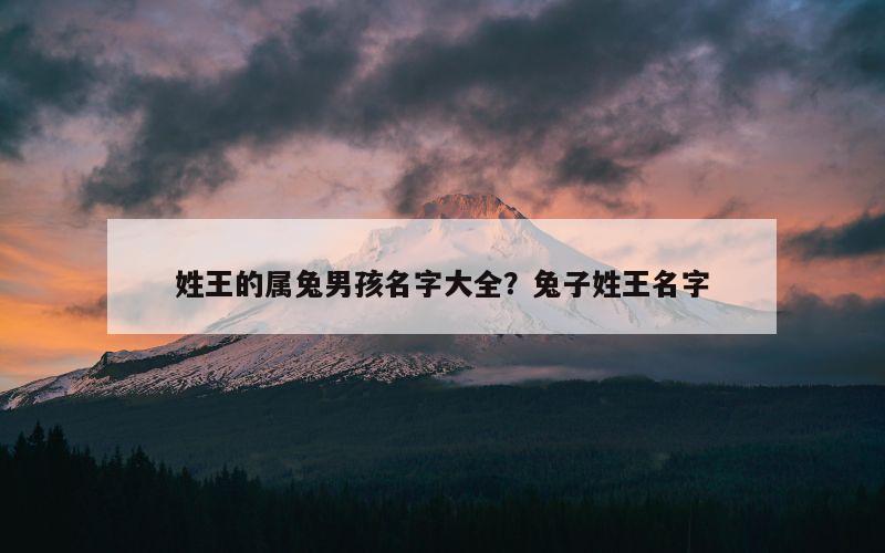 姓王的属兔男孩名字大全？兔子姓王名字