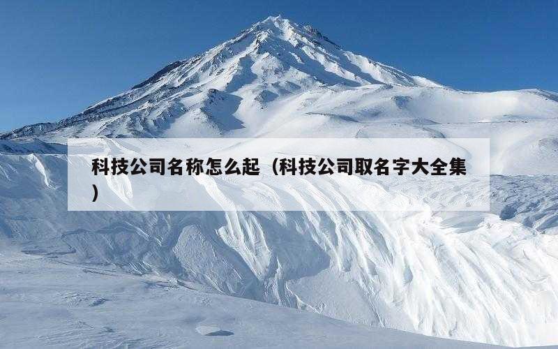 科技公司名称怎么起（科技公司取名字大全集）