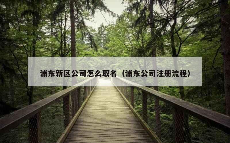 浦东新区公司怎么取名（浦东公司注册流程）