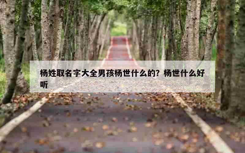 杨姓取名字大全男孩杨世什么的？杨世什么好听