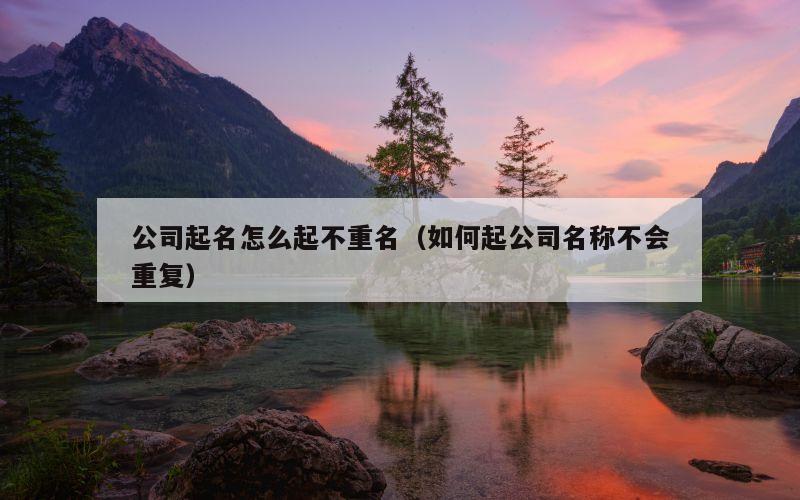 公司起名怎么起不重名（如何起公司名称不会重复）