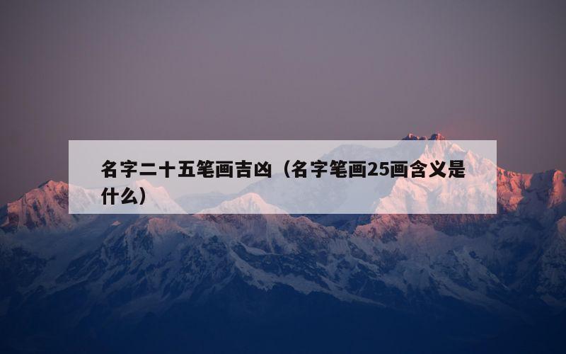 名字二十五笔画吉凶（名字笔画25画含义是什么）