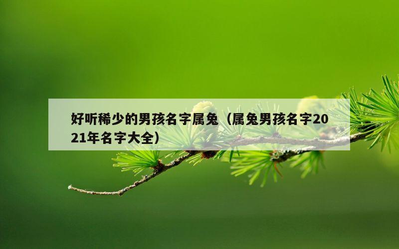 好听稀少的男孩名字属兔（属兔男孩名字2021年名字大全）